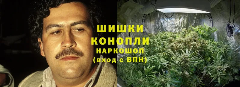 где можно купить   Оханск  Марихуана Bruce Banner 